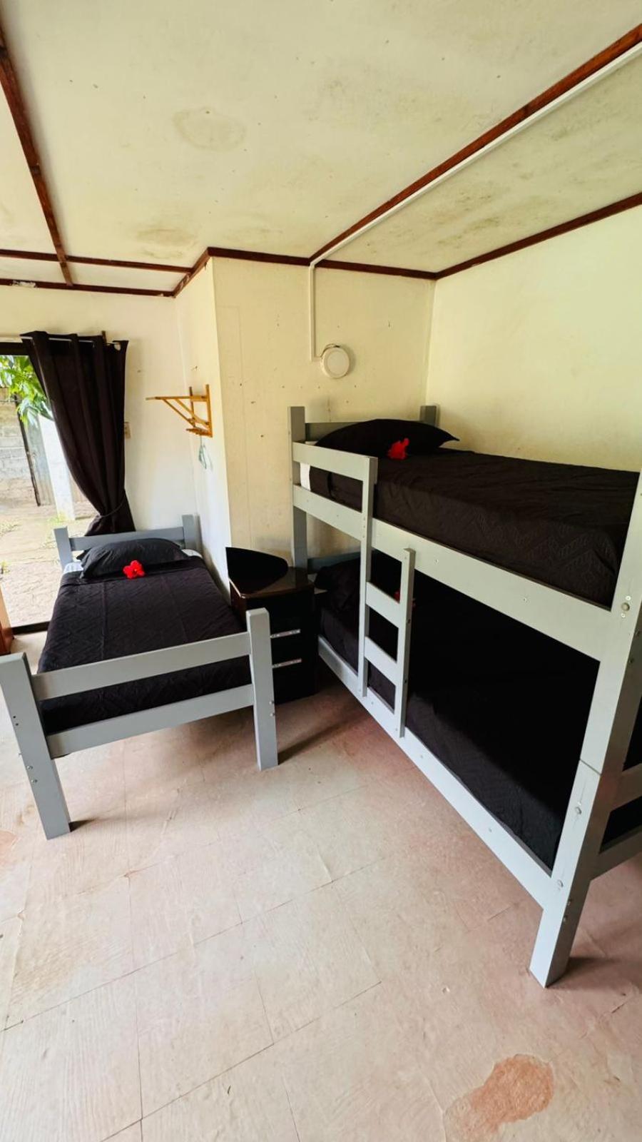 Mata Nui Eco Hostel Hanga Roa Eksteriør bilde